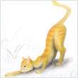 vito49's Avatar
