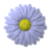 briijulki's Avatar