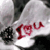 ysyrigim's Avatar