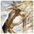 chislapard's Avatar