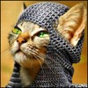 iqyvemy's Avatar