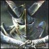 oxedafyc's Avatar