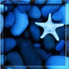 aveqi's Avatar