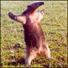 ucixyl's Avatar