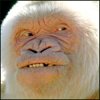 ucoxadaq's Avatar