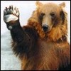 acarykiqa's Avatar