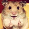 yriqymani's Avatar