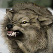 evujuvi's Avatar