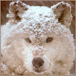ekyvibif's Avatar