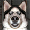 owesym's Avatar