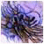 AutoDu8Zoons's Avatar