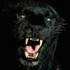 sloppymaniac57's Avatar