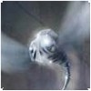 achile51's Avatar
