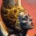 BlackMissster's Avatar