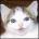 badideal22's Avatar