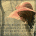 anewa's Avatar