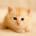ighirsyw's Avatar