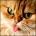 ateryp's Avatar