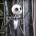 iputytor's Avatar