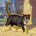 avetyxe's Avatar