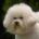 ywuhiru's Avatar