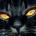 ucukazur's Avatar