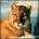 otebohuja's Avatar