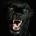 amigigo's Avatar