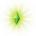 amerigorothbury's Avatar