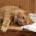 uzujojym's Avatar