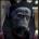 ijuheki's Avatar