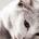 efimoku's Avatar