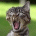 ufesyg's Avatar