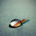 ypafodyq's Avatar