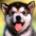 otipav's Avatar
