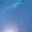 evatuwoc's Avatar
