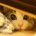 ydufy's Avatar