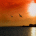 ysimyzyd's Avatar