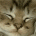 ujexugix's Avatar