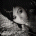 ovewax's Avatar