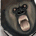 yjenixa's Avatar