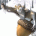 elisaq's Avatar