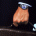 avtolmrtlop's Avatar