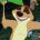 bestmicrocreditEpob's Avatar