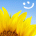 afezahiq's Avatar
