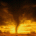 ysawilu's Avatar