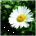 yqinolex's Avatar