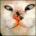 iboqozu's Avatar