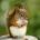 uralyfe's Avatar