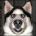 owesym's Avatar